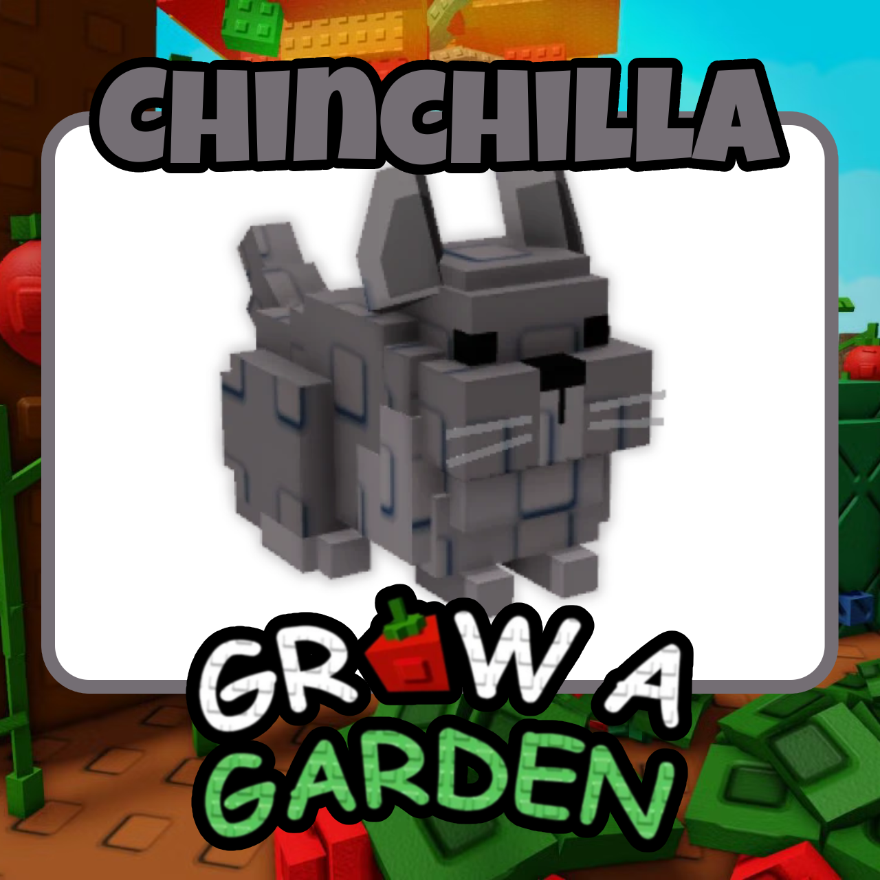 Chinchilla - Grow A Garden - For Sale!