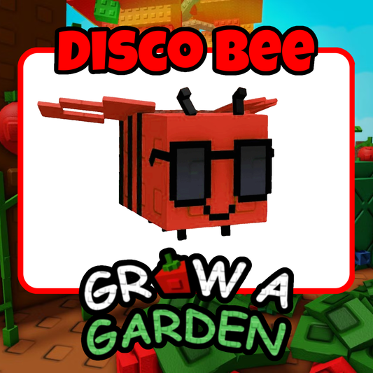 Disco Bee - Grow A Garden - For Sale!
